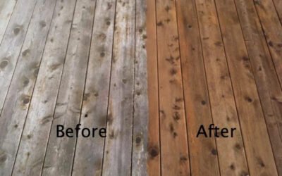 How Often Should Lake Docks Be Cleaned? A Lake of the Ozarks Homeowner’s Guide