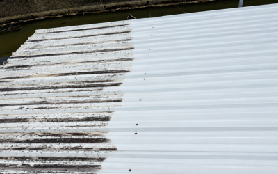 Why Lake of the Ozarks Dock Roofs Need Cleaning Every Season